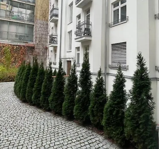 Cute Apartment Perfect For Business And Travel.